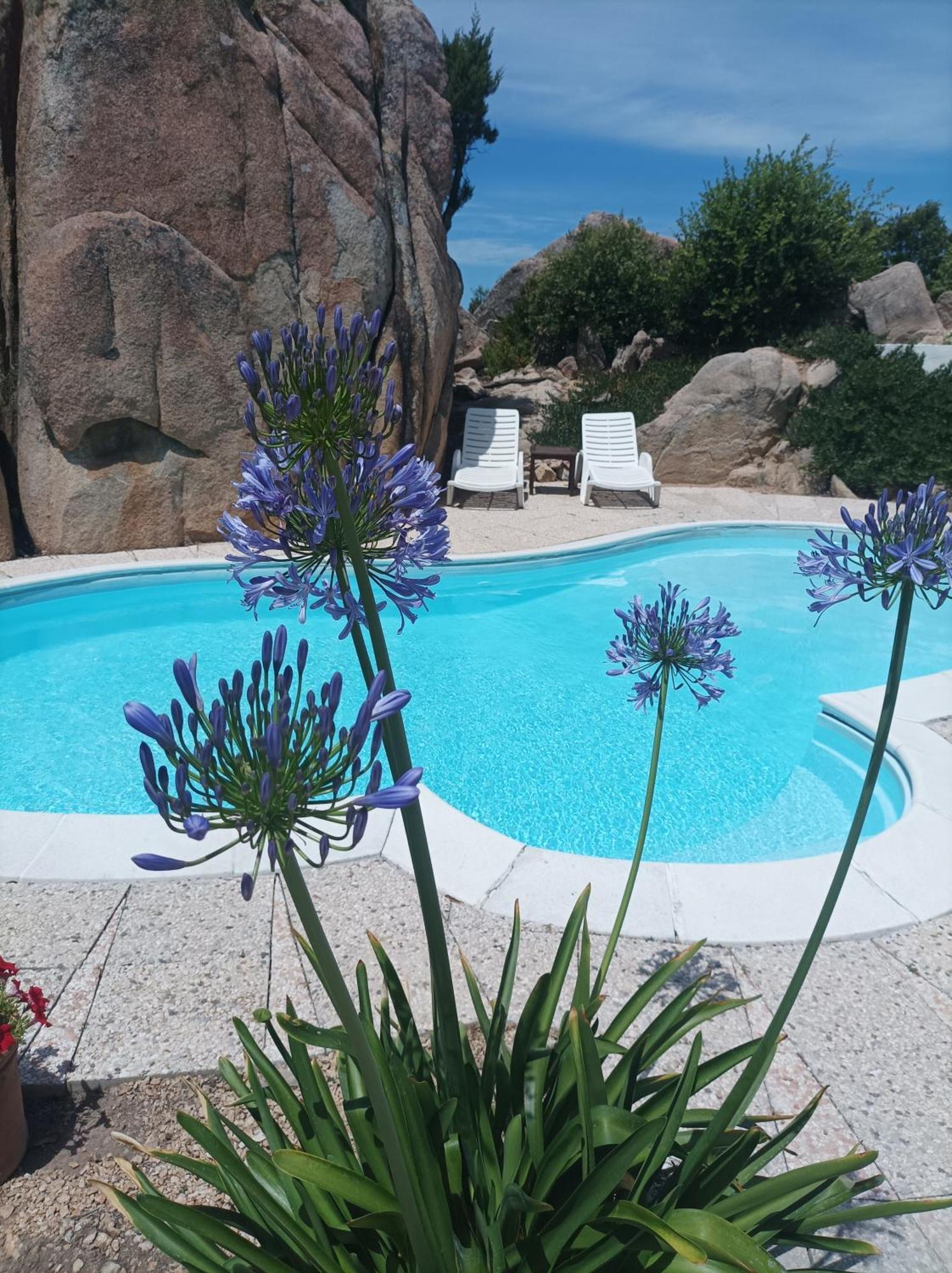 Villa Majore Beb Con Piscina Privata Rena Majore Exteriér fotografie